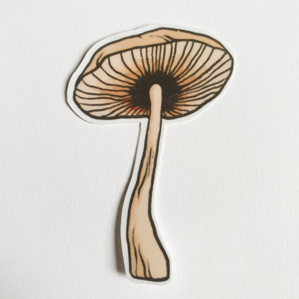 Mushroom Sticker Pack 1
