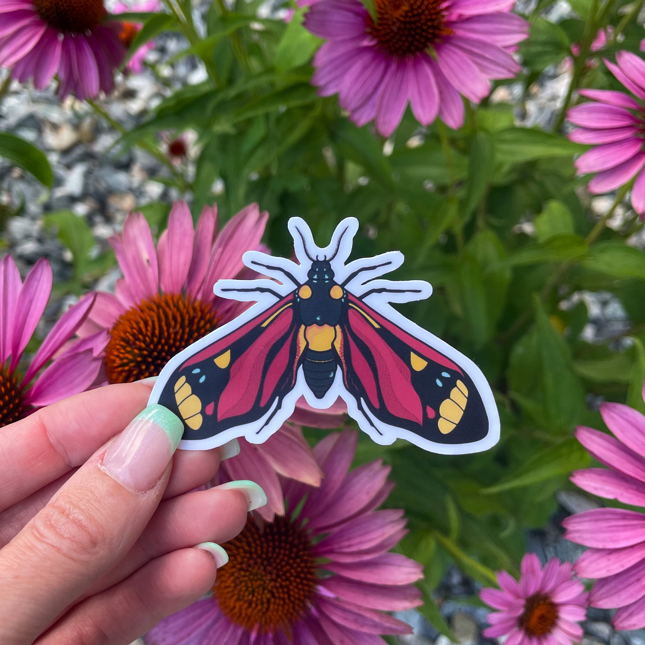 Red Patterned Moth Sticker