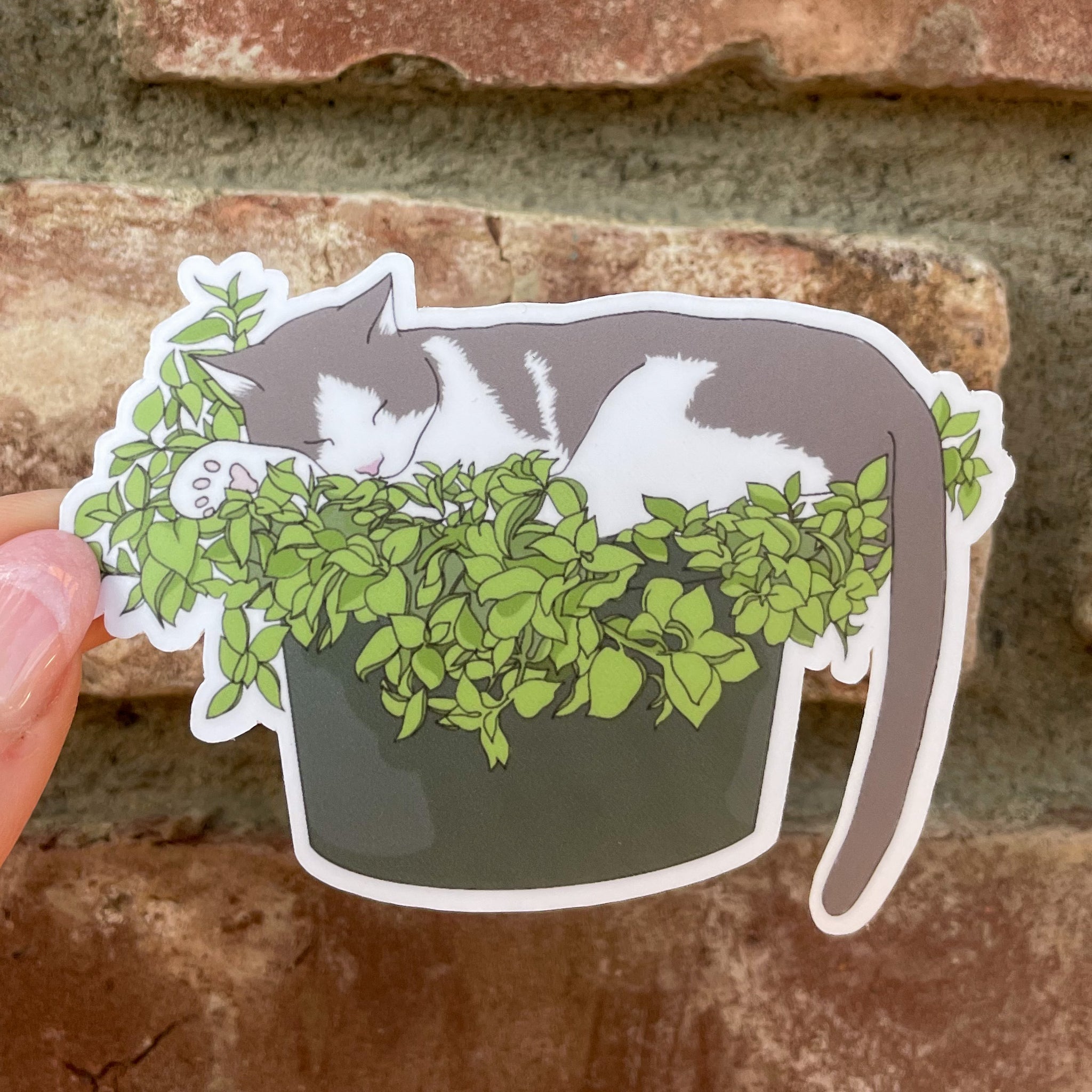 Grey and White Cat in Planter Sticker