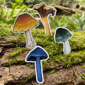Mushroom Sticker Pack 3