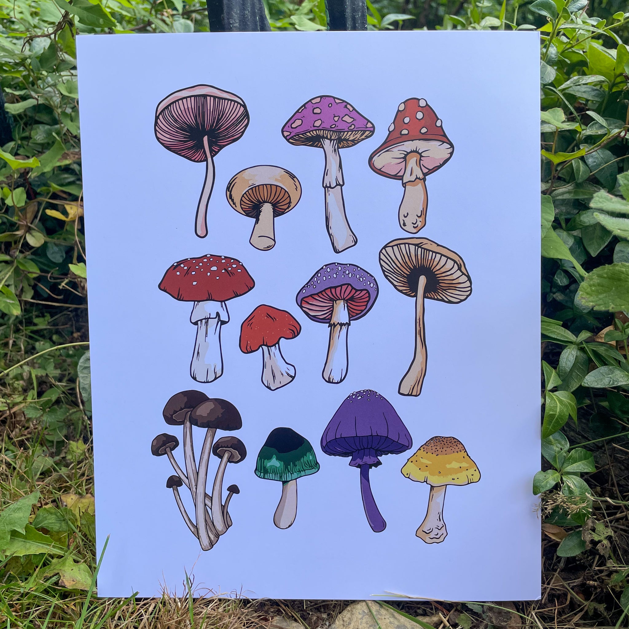 Multi-Mushroom Print