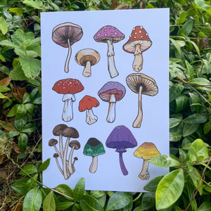 Multi-Mushroom Card